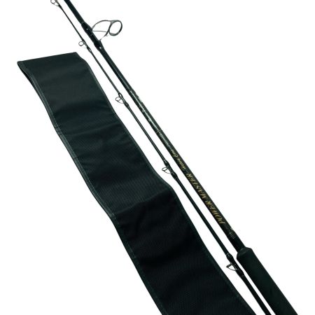 TENRYU CO. 天龍 ショアジギングロッド パワーマスター ヘビーコア PMH100HH 竿袋付