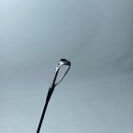 EVER GREEN エバーグリーン シーバスロッド ゼファーアバンギャルド ZAGS-98 竿袋付