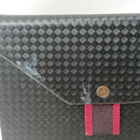 ZEQUE 偏光サングラス グレー ZEAL OPTICS ケース付