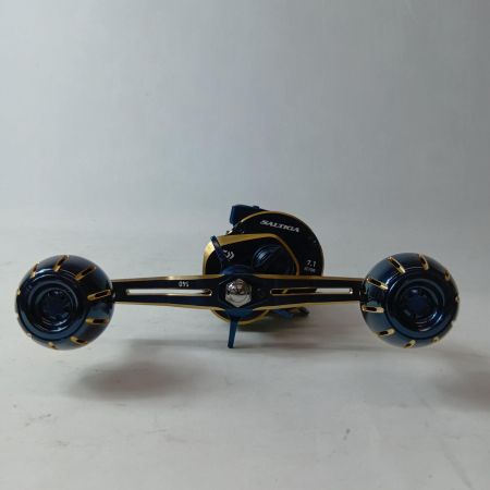 DAIWA ダイワ ベイトリール 21ソルティガIC 100HL-DH 00631545 (299940)