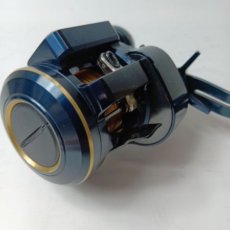 DAIWA ダイワ ベイトリール 21ソルティガIC 100HL-DH 00631545 (299940)