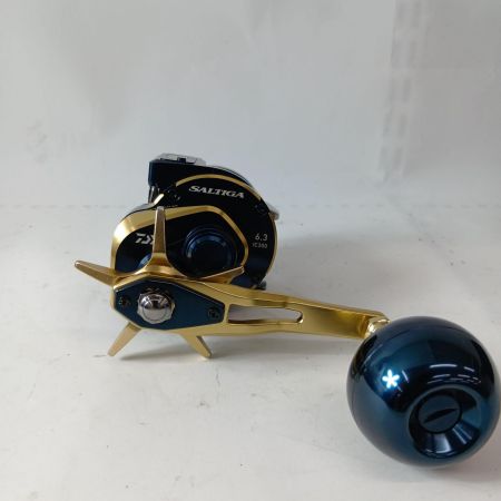 DAIWA ダイワ ベイトリール 21ソルティガIC 300HL-SJ  00631507 (034732)