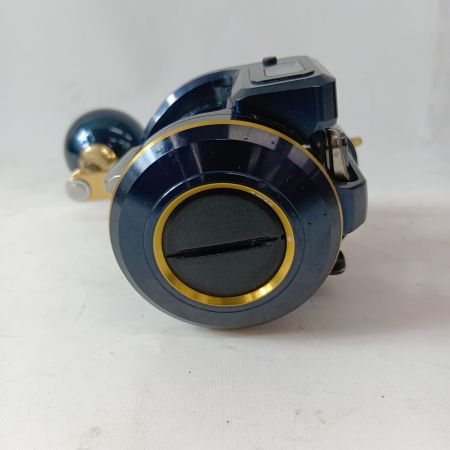 DAIWA ダイワ ベイトリール 21ソルティガIC 300HL-SJ  00631507 (034732)