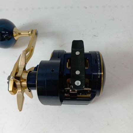 DAIWA ダイワ ベイトリール 21ソルティガIC 300HL-SJ  00631507 (034732)