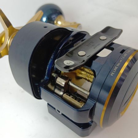 DAIWA ダイワ ベイトリール 21ソルティガIC 300HL-SJ  00631507 (034732)