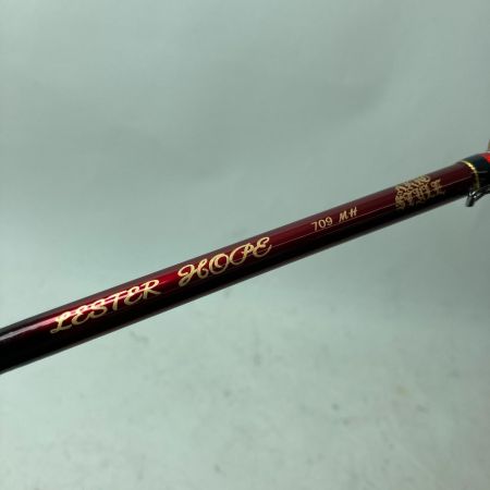 アレス エギングロッド レスターホープ MH709 竿袋付き