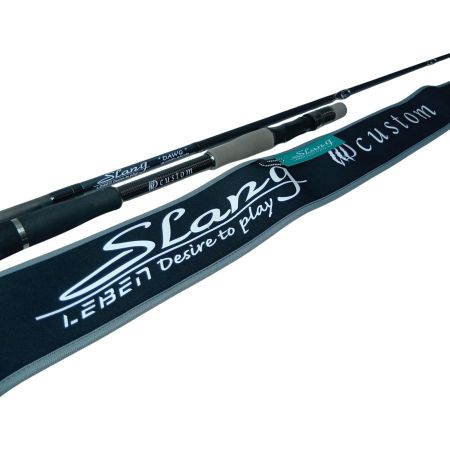 DESIGNO デジーノ バスロッド スラング LSR-C74XXHRX3s WD Custom 竿袋付