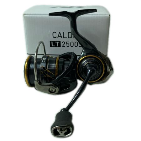 DAIWA ダイワ スピニングリール 21カルディア LT2500S 063176 箱・リールポーチ付