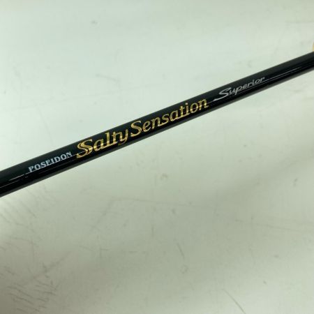 EVER GREEN エバーグリーン アジングロッド ソルティセンセーション スペリオル SPRS-66SUL-S 竿袋付き