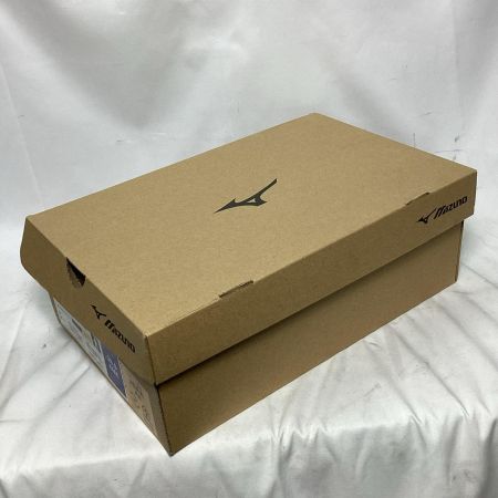 MIZUNO ミズノ 安全靴 未使用品 本体のみ 28.0㎝ LSII 22 L レッド×ゴールド